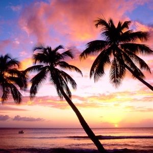 Meet your Posher, Katrina